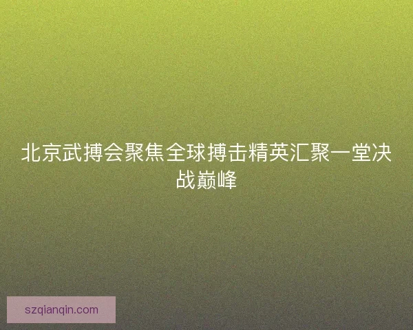 北京武搏会聚焦全球搏击精英汇聚一堂决战巅峰