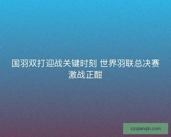 国羽双打迎战关键时刻 世界羽联总决赛激战正酣