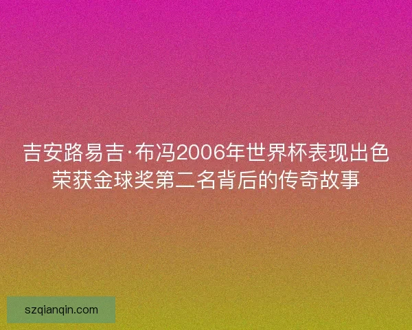 吉安路易吉·布冯2006年世界杯表现出色荣获金球奖第二名背后的传奇故事
