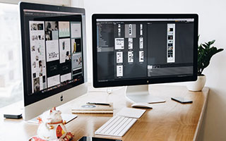 
高考生物专题手册！遗传+代谢，重点突出
